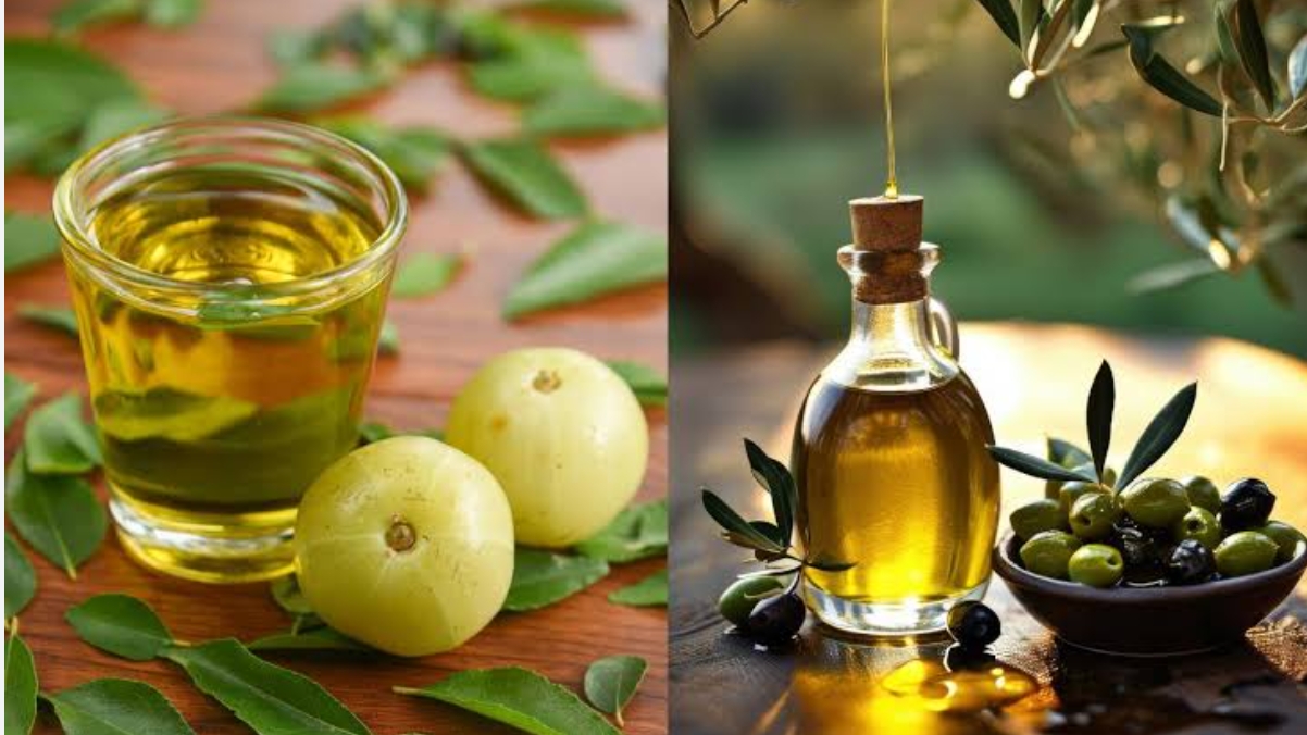 Amla Oil Benefits for hair