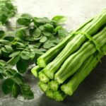 Top 10 Moringa Health benefits: Why This “Miracle Tree” Deserves a Place in Your Diet Moringa Health