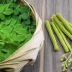 Is Moringa Powder Good for Health