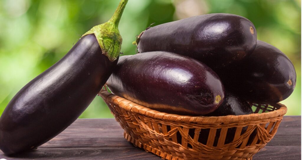 Brinjal Health Benefits