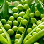 Benefits of Green Peas