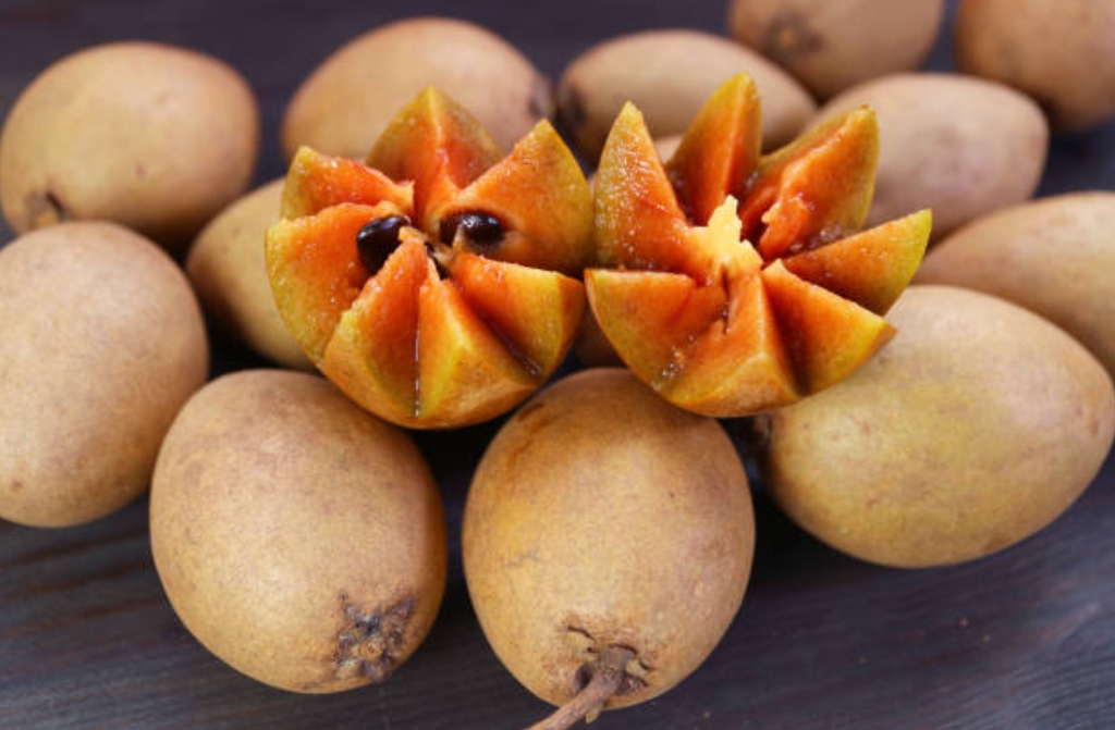 Sapodilla