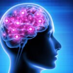 7 Japanese Tips To Improve Brain Power Naturally Japanese Tips To Improve Brain Power