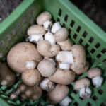 Mineral Deficiency? Here’s What to Eat Mineral Deficiency?