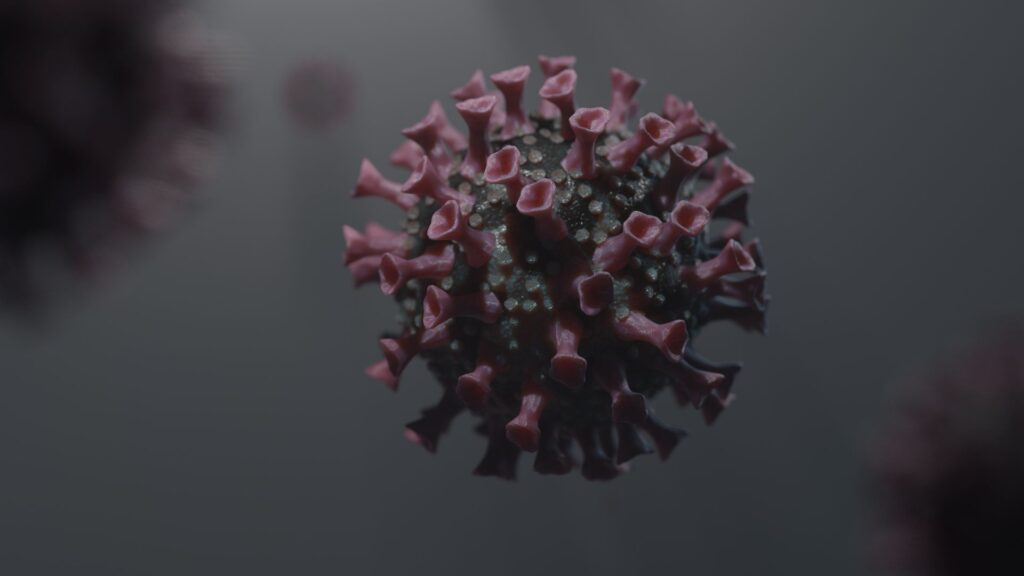 One American tests positive for hantavirus as cruise ship passengers arrive in U.S.