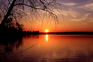 Health Benefits of Sunlight